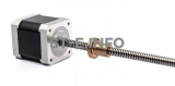 Шаговый двигатель 42HSL48-1204JA08-E150 (Tr8*8) - st-e.info - Новоуральск